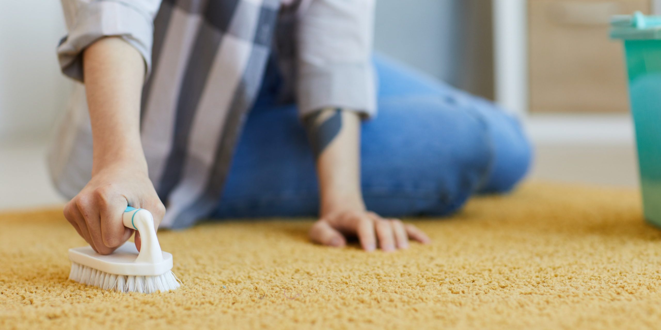 carpet cleaning in orlando